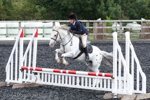 Class 3 -  Fences not above 2'3